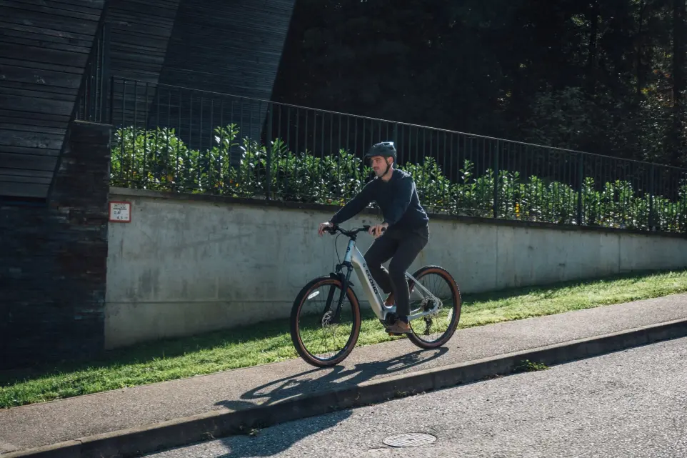 easy entry ebike ECONO gams