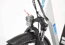 Mestno e-kolo ECONO Apes 2D 2021