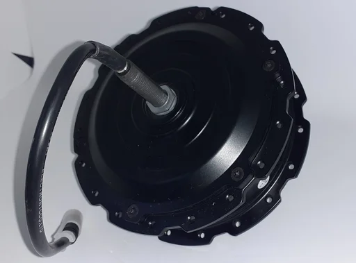 Motor Shengyi DGWX1 v sprednji pesti 250W 36V 40Nm Brushles