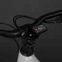 Električno polnovzmeteno kolo ECONO Pantera B C8 140 2024