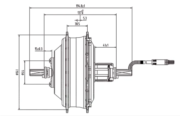 Motor Shengyi DGWX2NC v zadnjem pestu 250W 36V 40Nm Brushles