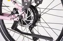 Električno kolo ECONO Apes CITY EER4 lavandl 2026 EUROBIKE Velikost: S/M Baterija: 700Wh