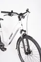 Električno kolo ECONO Apes CITY EER3 700Wh Aluminium Grey 2025
