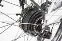 Električno kolo ECONO Apes CITY EER3 700Wh Aluminium Grey 2025
