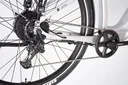 Električno kolo ECONO Apes CITY EER3 700Wh Aluminium Grey 2025