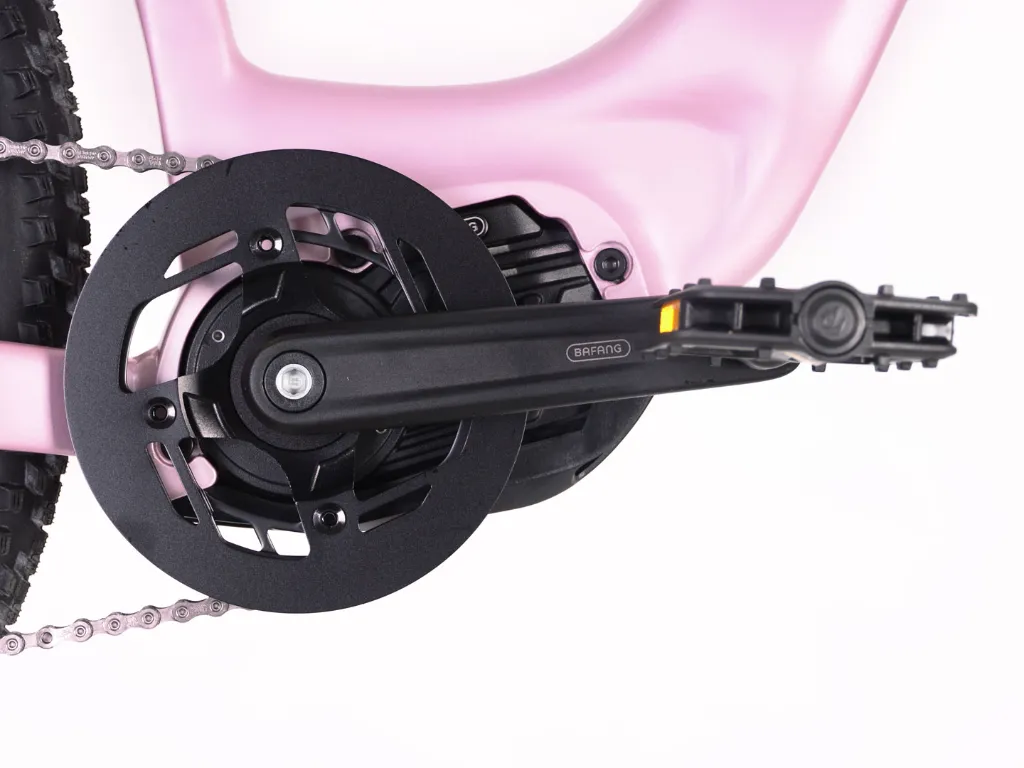 DSC_8395.webp