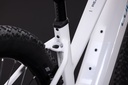 Električno kolo Cube Reaction Hybrid Race 800 snow´n´black Trapeze 2027