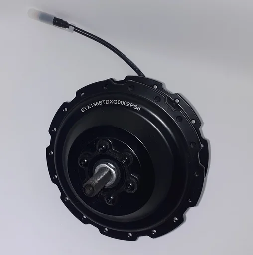Motor Shengyi DGWX1 v sprednjem pestu 250W 36V 45Nm Brushles