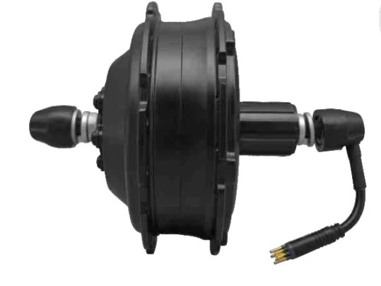 Motor Shengyi DGWX2NC v zadnjem pestu 250W 36V 40Nm Brushles