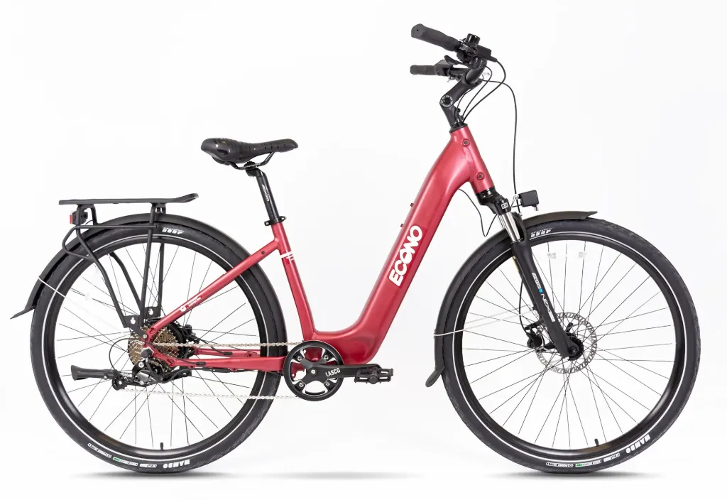 Elektric bike ECONO Apes CITY EER4 wine red