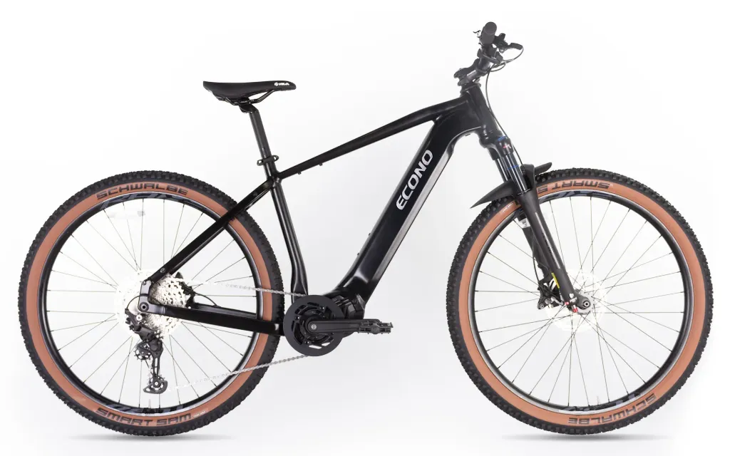 Electric bike ECONO Gams MTB 29 C6 Matt black 2026 (M, 520Wh (15Ah))