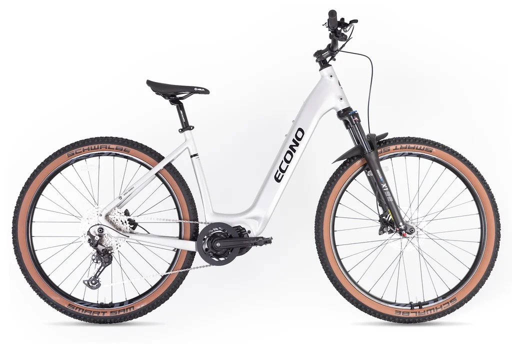 Electric bike ECONO Gams MTB 29 EEC7 Aluminum grey 2026