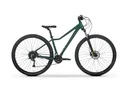 Mountain bike TABOU WIZZ 3.0. 29