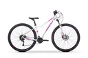 Mountain bike TABOU WIZZ 3.0. 29