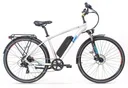 Econo Apes 2M Grey chiaro 2024 Bike elettrica